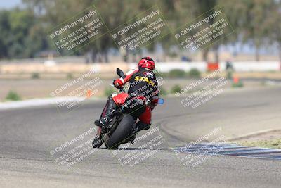 media/Sep-07-2025-Pacific Track Time (Sun) [[a6322260b9]]/C Group/Wheelie Bump/